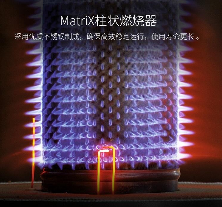 德國菲斯曼MatriX柱狀燃燒器 菲斯曼冷凝技術