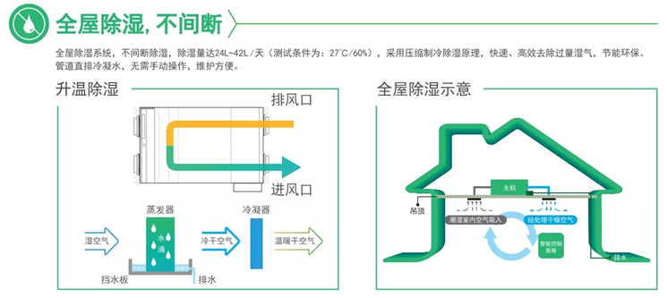 百朗除濕新風一體機 制冷除濕 全屋除濕不間斷